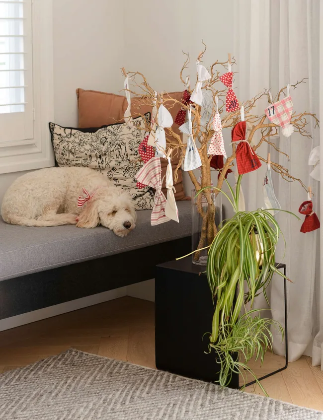 Un chien dormant sur un siège près de la fenêtre à côté d'un calendrier de l'Avent fait maison