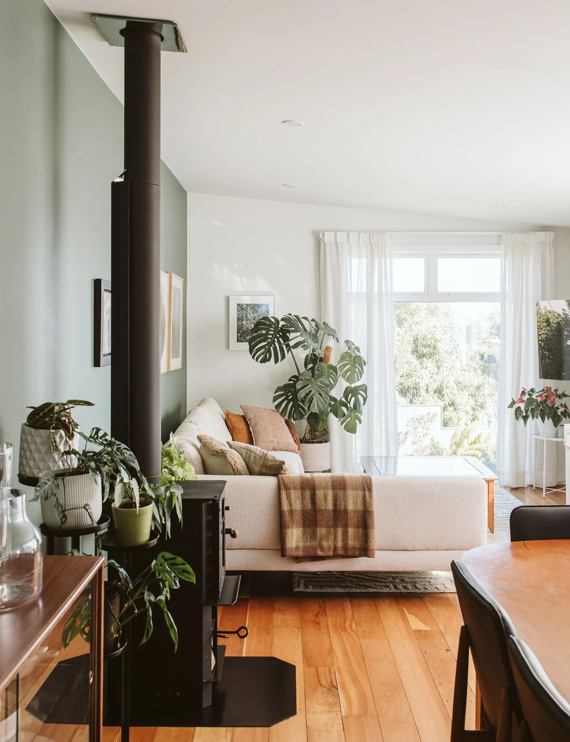 Le salon rénové de la villa New Plymouth avec un mur vert profond derrière la cheminée