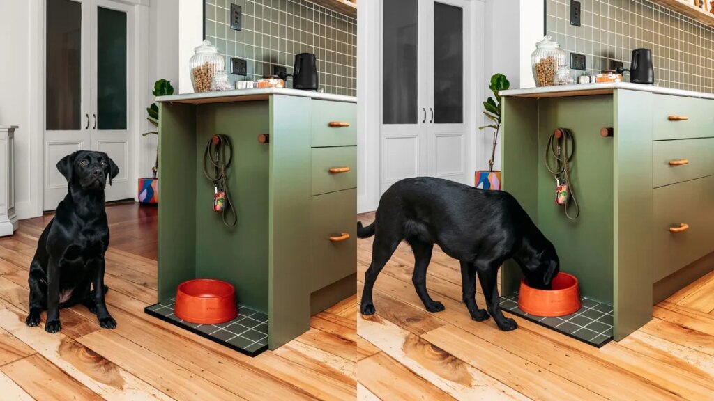 Comment bricoler une station d'alimentation pour votre chien