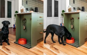 Comment bricoler une station d&rsquo;alimentation pour votre chien