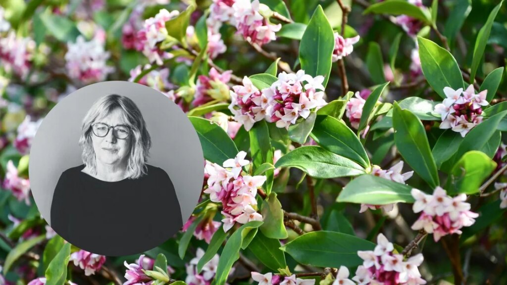 Ce sont les meilleurs légumes à planter dans votre jardin en juin
