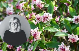 Ce sont les meilleurs légumes à planter dans votre jardin en juin