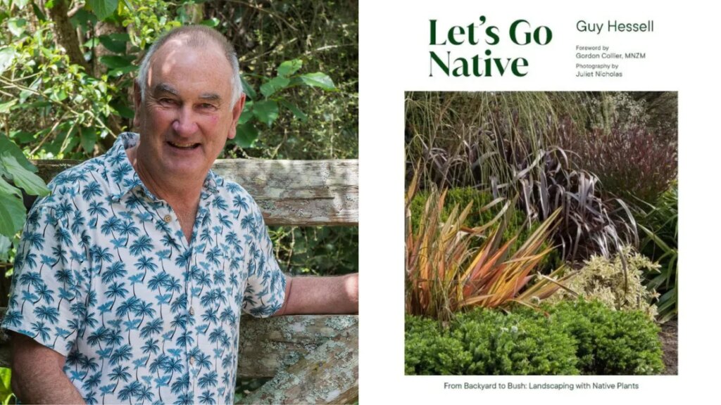 Le paysagiste Guy Hessell parle de la culture de plantes indigènes dans les jardins de Nouvelle-Zélande