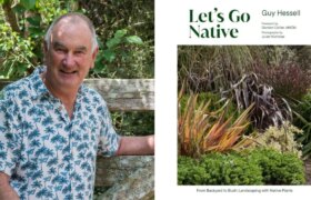 Le paysagiste Guy Hessell parle de la culture de plantes indigènes dans les jardins de Nouvelle-Zélande