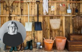 Que récolter, planter et semer au jardin en juillet en Nouvelle-Zélande