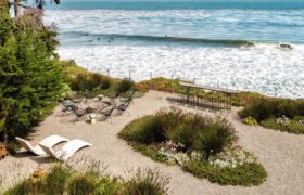 L&rsquo;art du jardin côtier : la beauté façonnée par le vent, les vagues et le sel