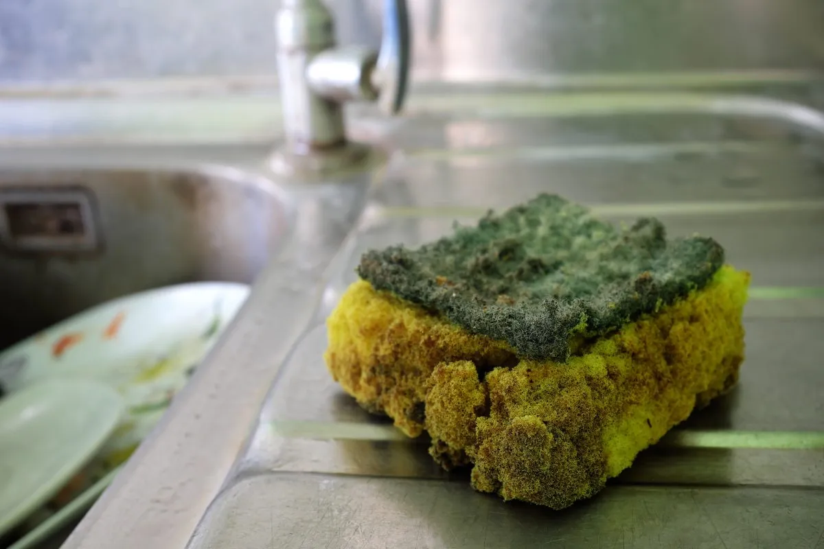 Worn out, stinky, dirty and moldy kitchen sponge next to a sink.