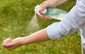 Comment fabriquer un répulsif anti-moustiques fait maison