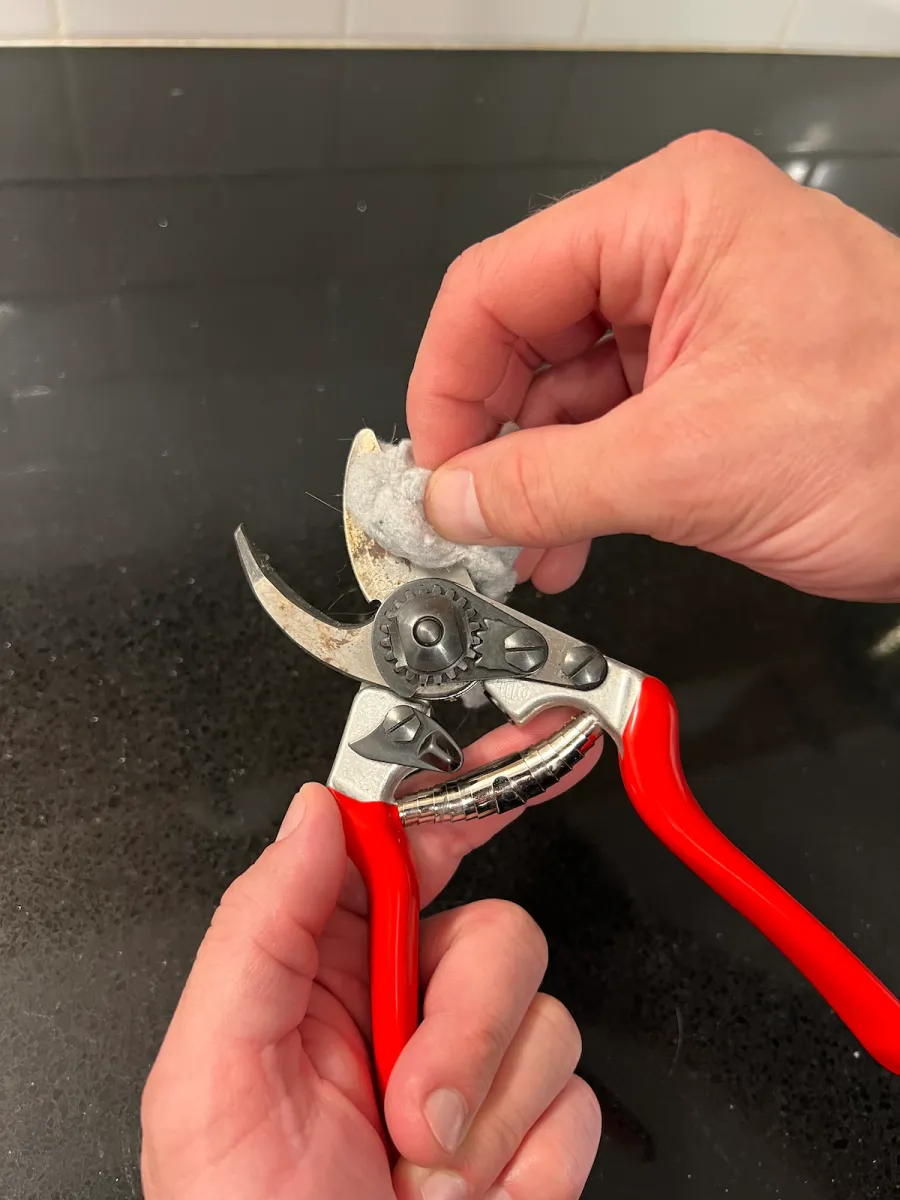 Using dryer lint to clean and lubricate pruners.