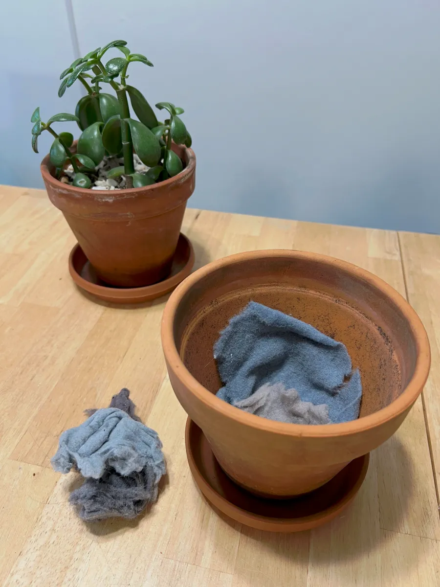 Dryer lint lining the bottom of a small planter.