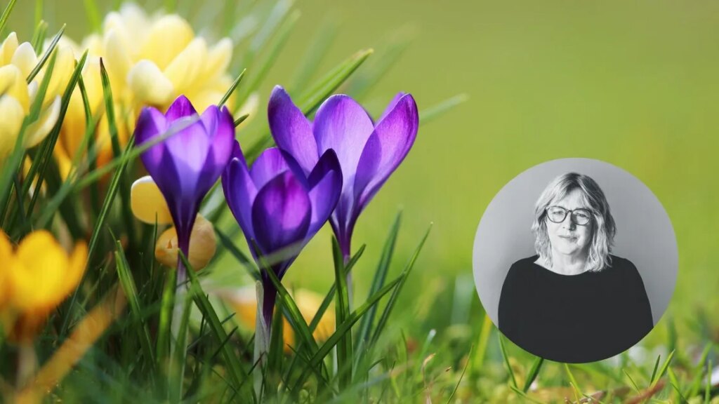 Votre guide de jardinage du mois d'août : Que semer, récolter et tailler