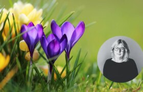 Votre guide de jardinage du mois d&rsquo;août : Que semer, récolter et tailler