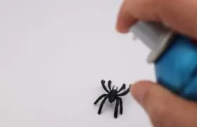 Les Meilleurs Exterminateurs d’Araignées 2026 — Testés et Validés