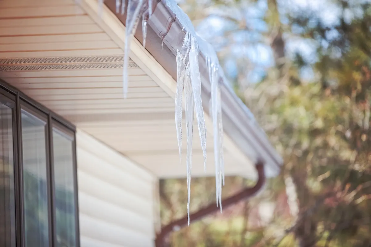 Ice dam in a roof gutter over a soffit vent in winter.