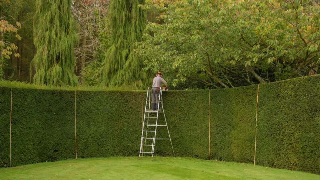 La haie parfaite pour chaque jardin