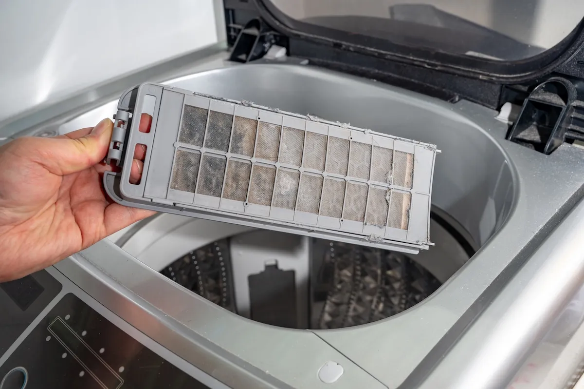 A dirty washing machine filter.