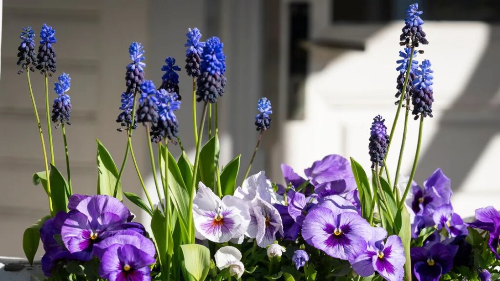 Votre guide pour créer de magnifiques compositions florales