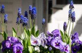 Votre guide pour créer de magnifiques compositions florales