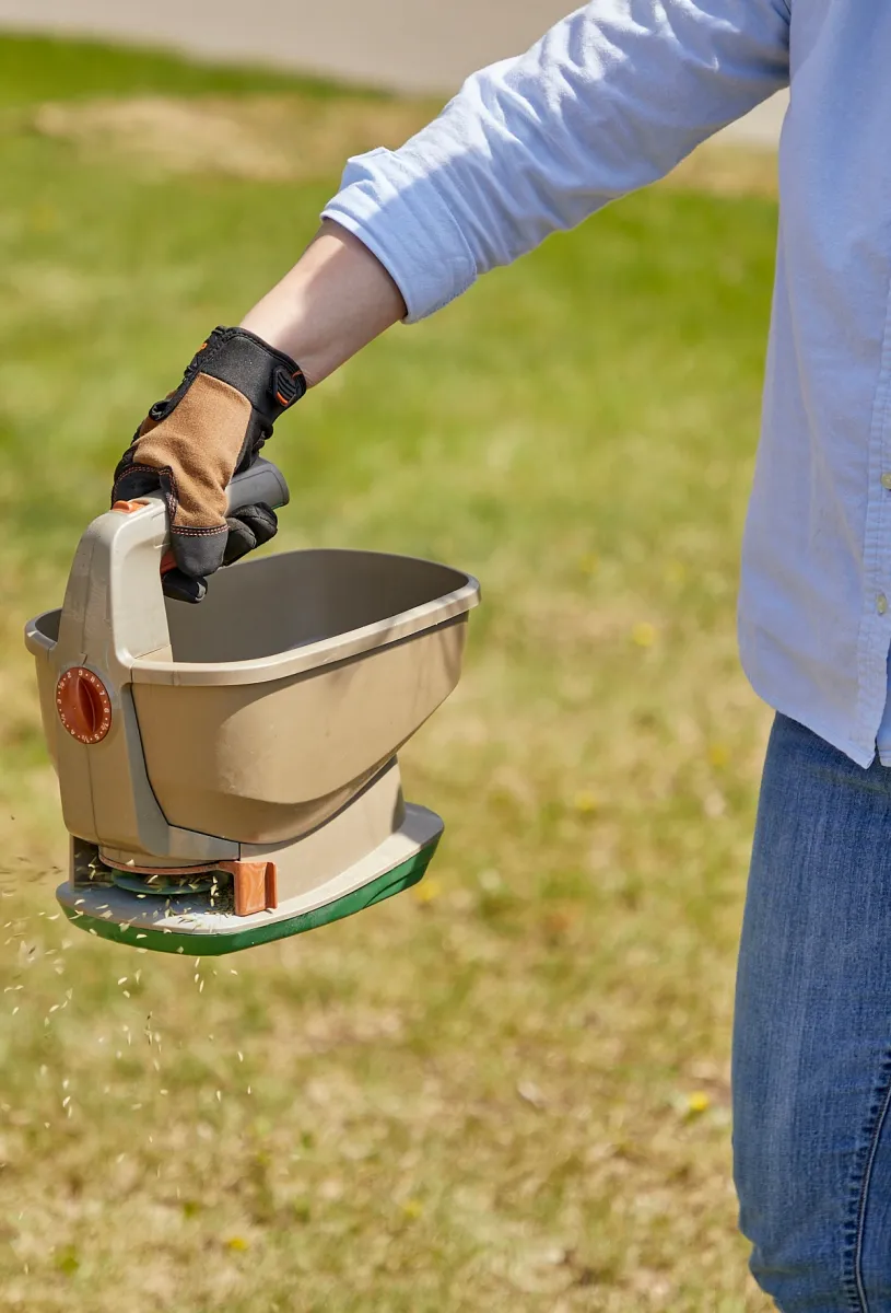 Woman holds manual seed spreader over lawn to spread seeds.