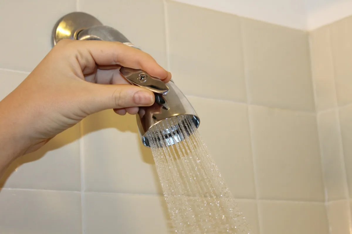 HammerHead Showers shower head close up