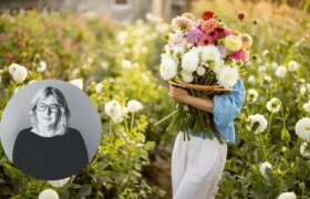 Guide de jardinage de septembre : tâches à accomplir et graines à semer