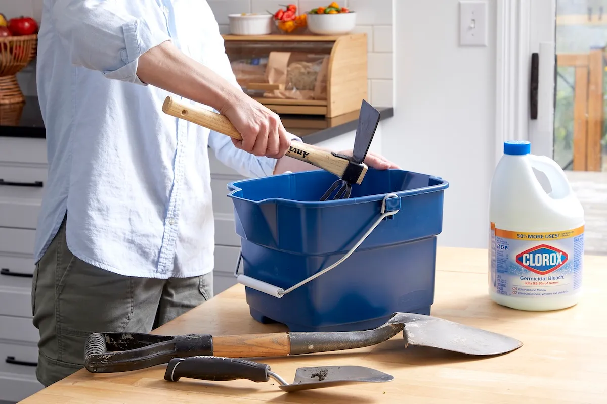 Woman dips garden tools into a blue bucket of bleach solution, a bottle of bleach nearby.