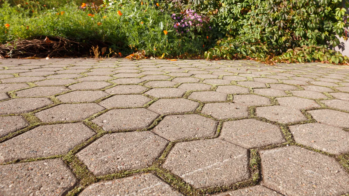 Stone garden path with moss growing between stones.