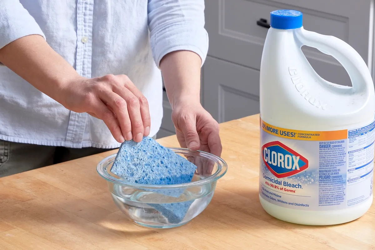 Woman dips a blue sponge into a bowl of bleach and water.