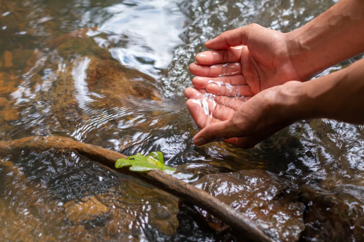 Close view of hands drawing water from a fresh water stream.