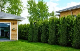 3 façons simples de préserver l’intimité de votre jardin à l’automne