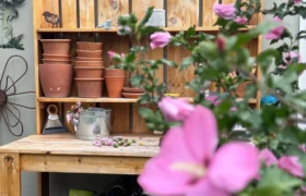 14 plans d&rsquo;un établi de rempotage pour aménager un espace extérieur de préparation du jardin