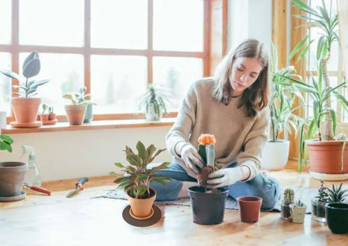 Caulking flower pots to reduce scratches
