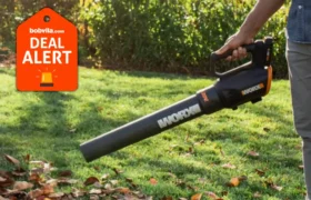 Amazon déstockage de souffleuses à feuilles pour l&rsquo;automne — jusqu&rsquo;à 47 % de réduction sur EGO, Greenworks, Husqvarna et plus