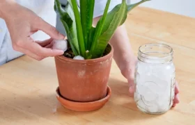11 Problèmes Ménagers Que Vous Pouvez Résoudre Avec des Glaçons