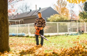Souffleuse à feuilles ou aspirateur à feuilles : quand les utiliser