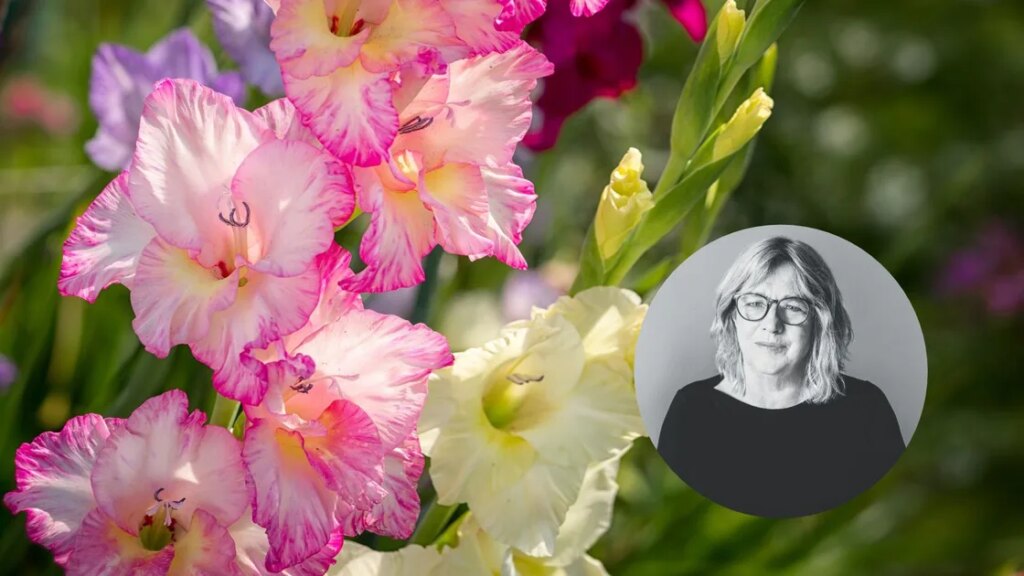 Votre guide de jardinage d'octobre : comment s'adapter à la hausse des températures