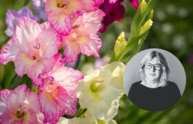 Votre guide de jardinage d&rsquo;octobre : comment s&rsquo;adapter à la hausse des températures