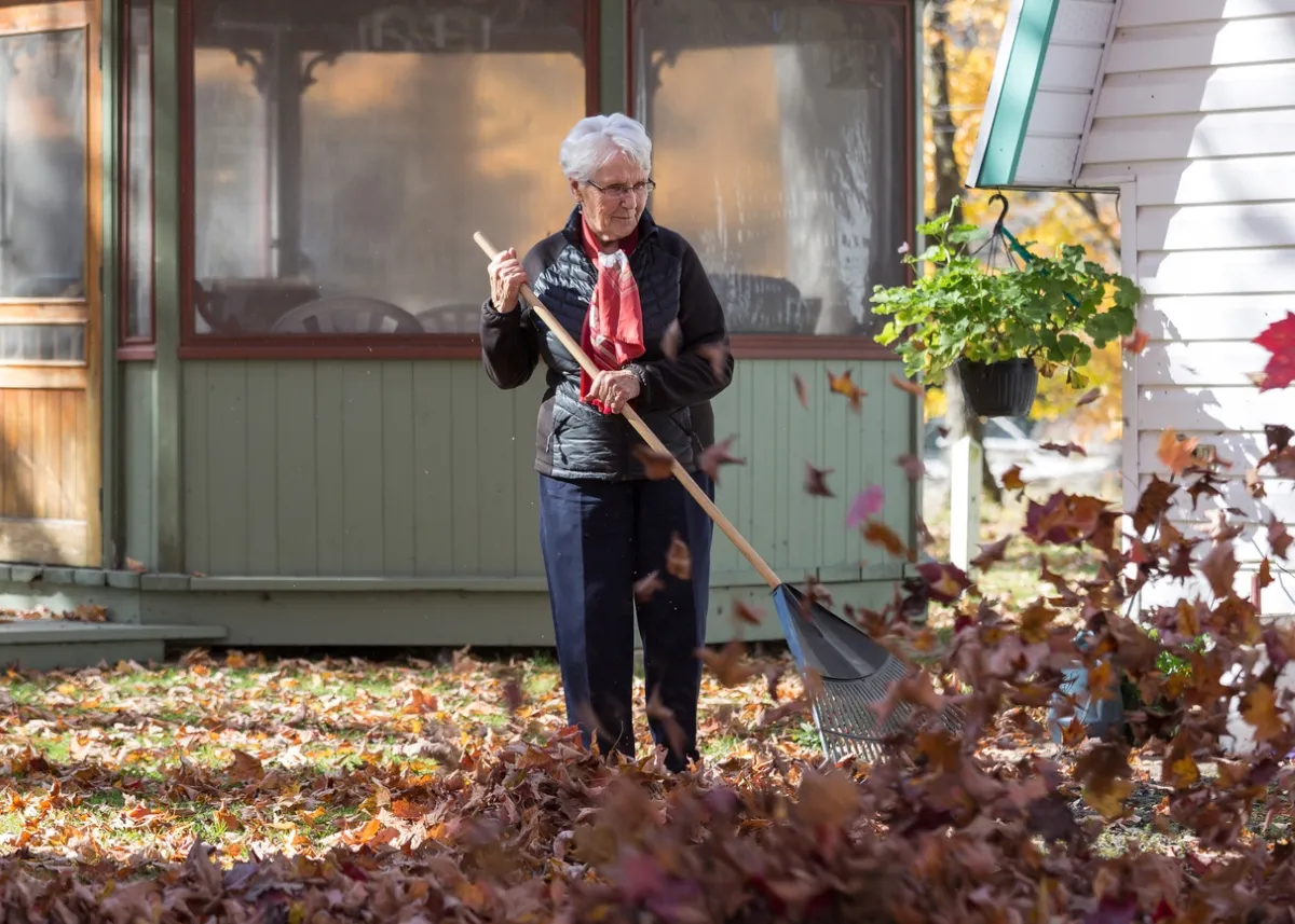 Mature woman raking leaves on a breezy day.