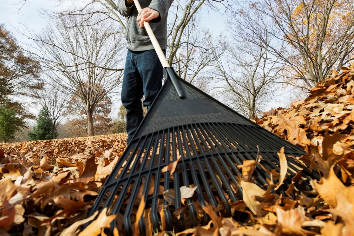 Person using rake