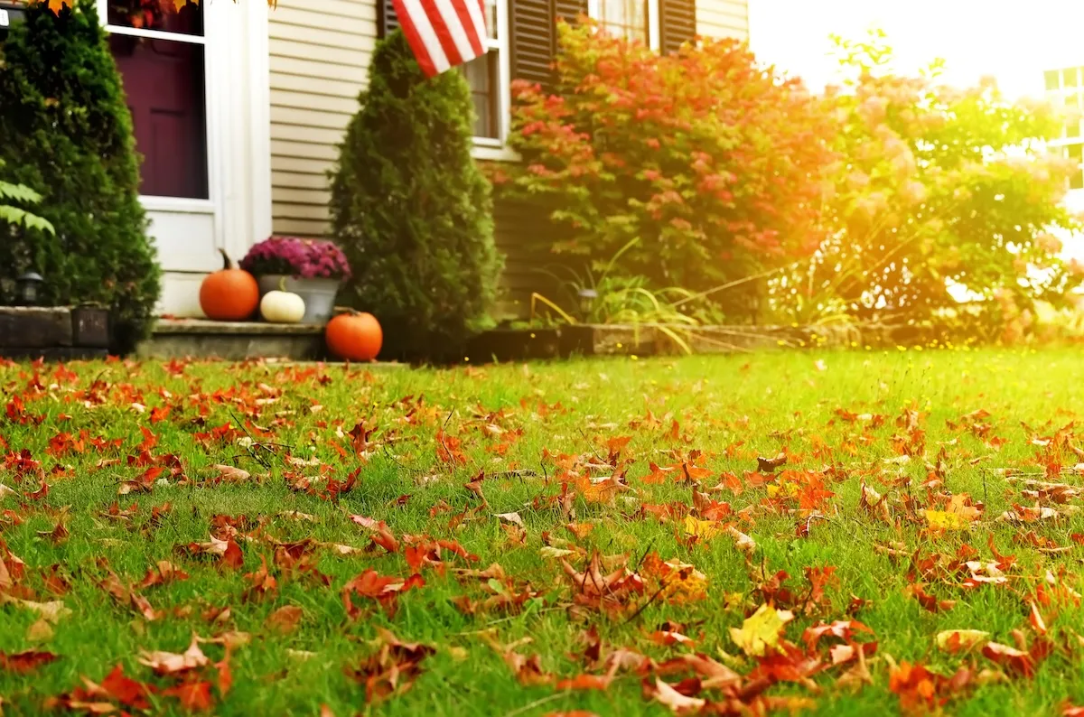 Home with American flag hanging over a yard with autumn leaves scattered and pumpkins by the door.