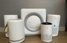 Meilleurs purificateurs d&rsquo;air contre la moisissure en 2026, testés et évalués