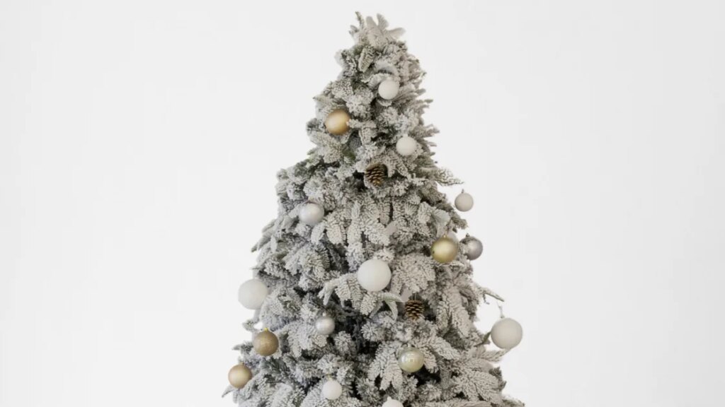 Conseil d'expert : Comment garder votre sapin de Noël frais plus longtemps