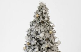 Conseil d&rsquo;expert : Comment garder votre sapin de Noël frais plus longtemps