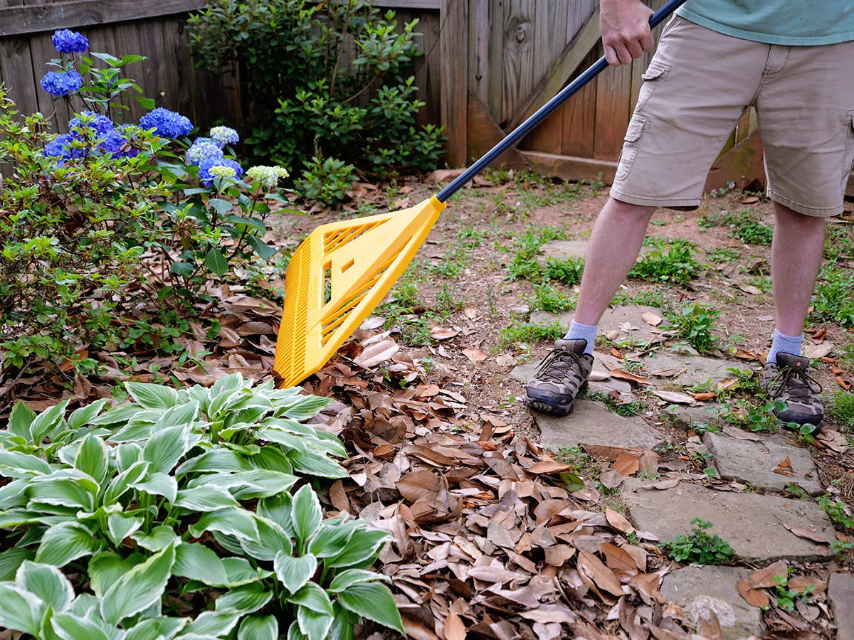 A person using the best leaf rakes option to clear dead leaves away from landscaping