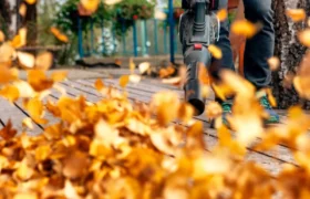 5 façons d’utiliser votre souffleur de feuilles que vous n’utilisez pas — mais vous devriez