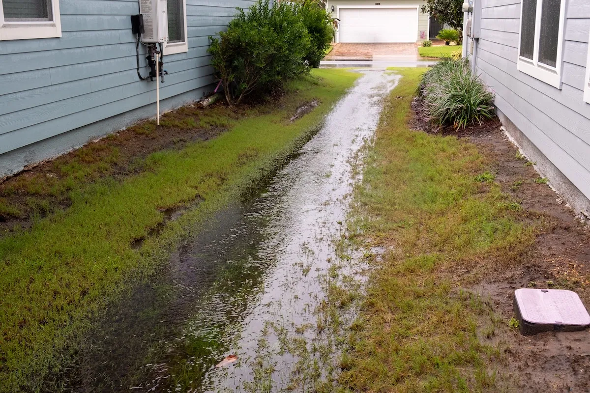 Standing water between two homes in a suburban neighborhood.