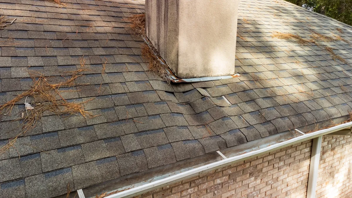 Roof damage from standing water and clogged gutters.