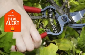 Amazon déstockage : Sécateurs, coupe-branches et tronçonneuses d’élagage – jusqu’à 57% sur Husqvarna, Corona et plus
