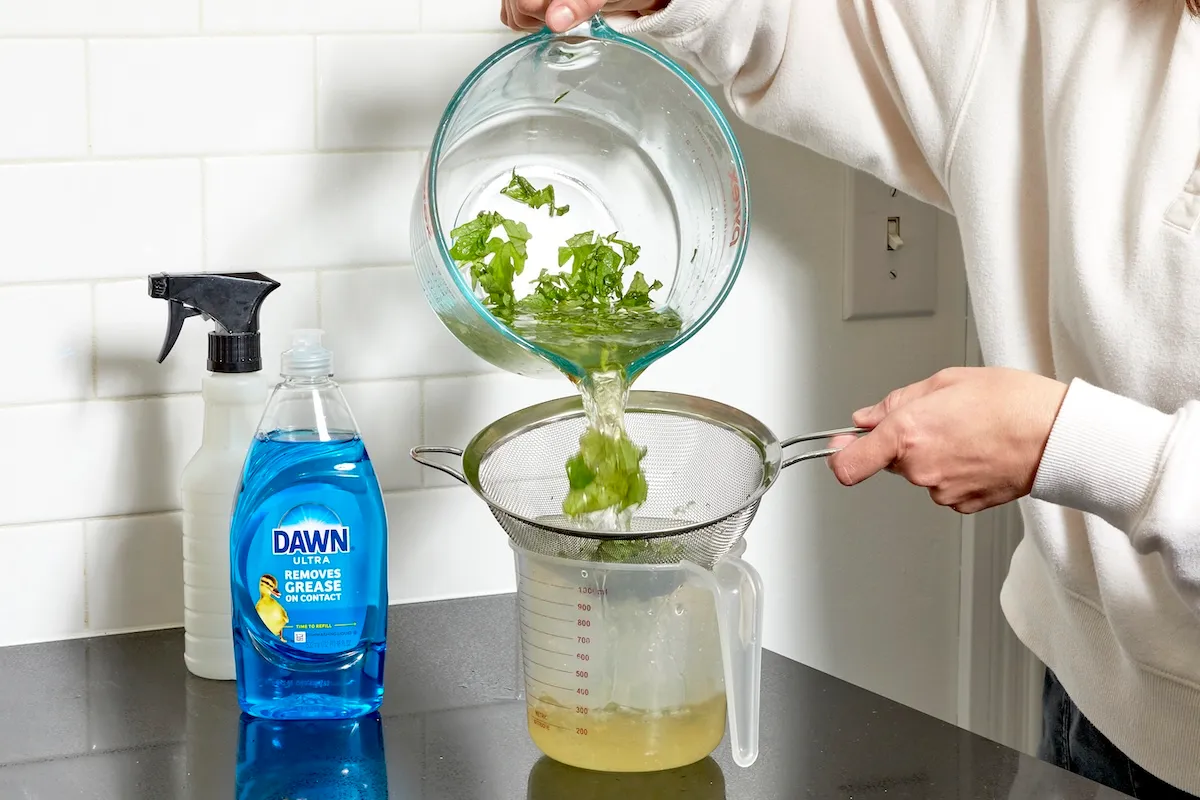 Woman strains tomato leaves out of water mixture, a spray bottle and Dawn detergent nearby.