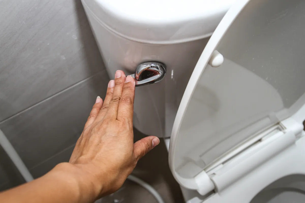 Woman's hand on the flush handle of toilet. 